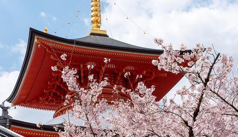 โรงแรมทะกะระซุกะ ออนเซน วากะมิซุ ทาคาระซูกะ ภายนอก รูปภาพ